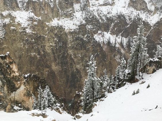 Yellowstone Grand Canyon